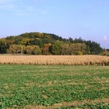 Photo by J. Tvrdý
