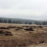 Foto J. Tvrdý