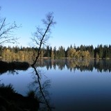 Foto J. Tvrdý