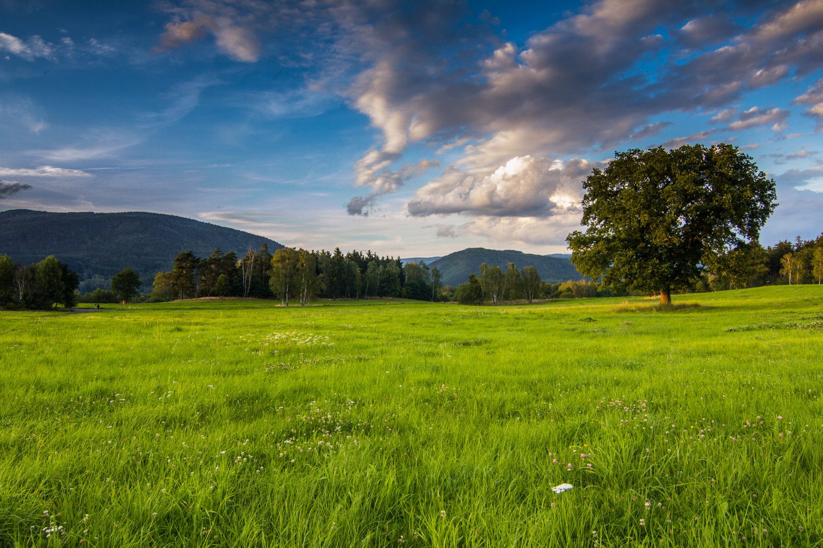 Untererzgebirgische Landschaft