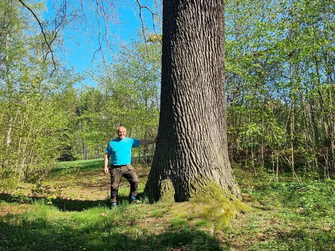 Gedenkeiche bei Doliška
